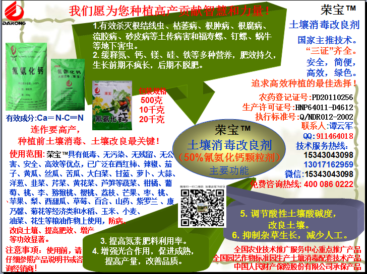 榮寶（氰氨化鈣）顆粒殺菌劑，土壤消毒、緩釋氮鈣營(yíng)養(yǎng)、肥料增效、土壤改良四效合一，殺滅根結(jié)線(xiàn)蟲(chóng)，防治根腫病、根腐病、枯萎病、流膠病、蓮藕腐敗病等土傳病害，殺滅福壽螺、釘螺等地下害蟲(chóng)，解決連作障礙